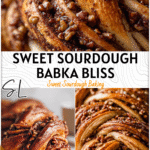 Braided Cinnamon Pecan Sourdough Babka Bread with glossy crust and sticky cinnamon filling.
